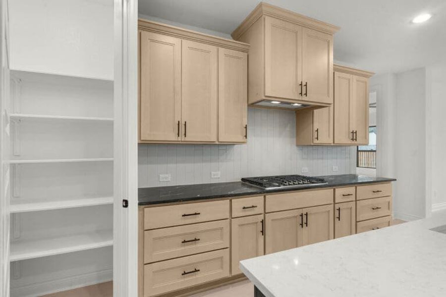 328 Buckaroo Segovia Sitterle Homes Austin Parmer Ranch