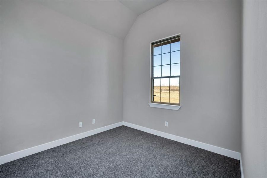 Carpeted empty room with lofted ceiling