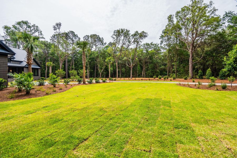Natural landscape and outdoor views near  in Johns Island (Image 120).