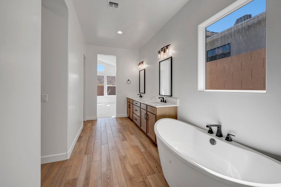 Owner's Bath