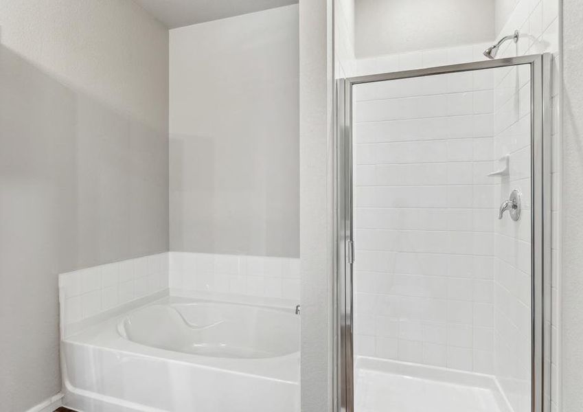 The master bathroom has a wonderful garden tub and glass walk-in shower.