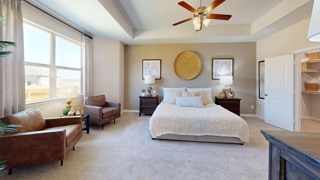 Carpeted bedroom with a raised ceiling and ceiling fan Carpeted bedroom with a raised ceiling and ceiling fan