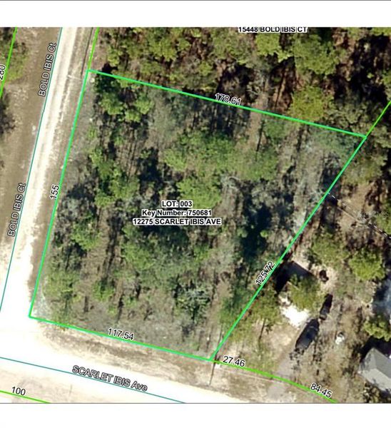 Site preparation for new homesites in Royal Highlands, Weeki Wachee (Image 19).
