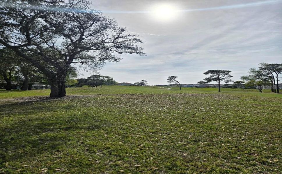 Image 57 of a home in Twisted Oaks.