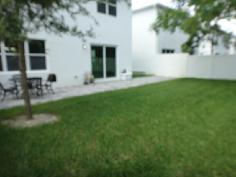 BACKYARD BACKYARD
