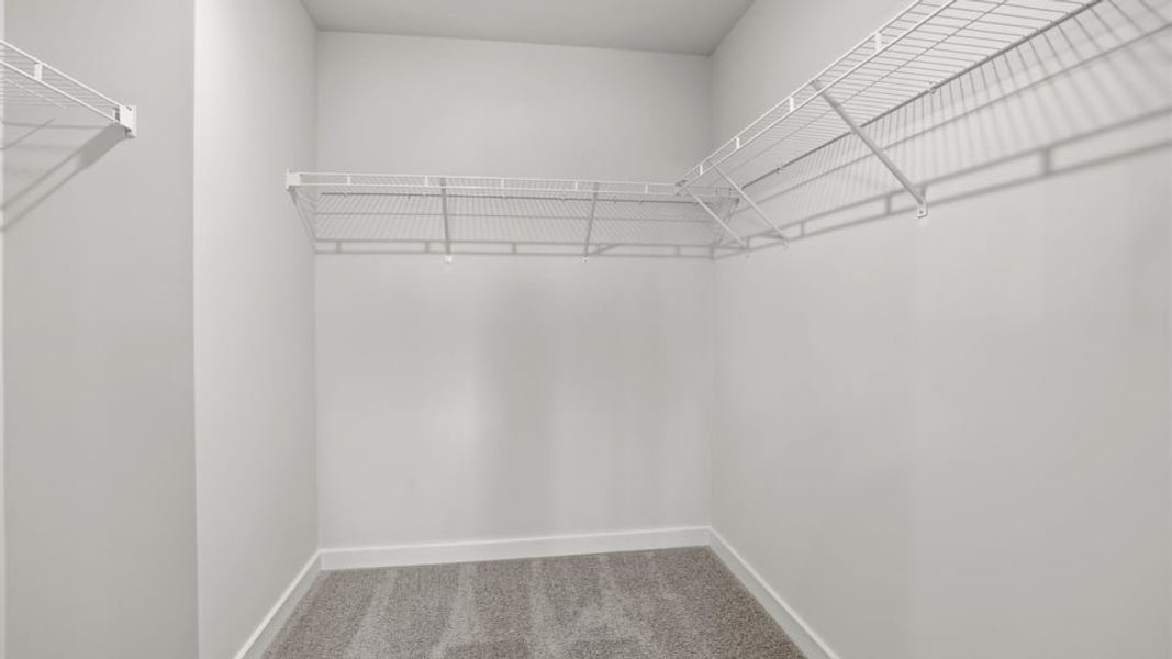 Spacious, unfurnished interior of a new home in Adams Glen, Greenville (Image 25). Spacious, unfurnished interior of a new home in Adams Glen, Greenville (Image 25).