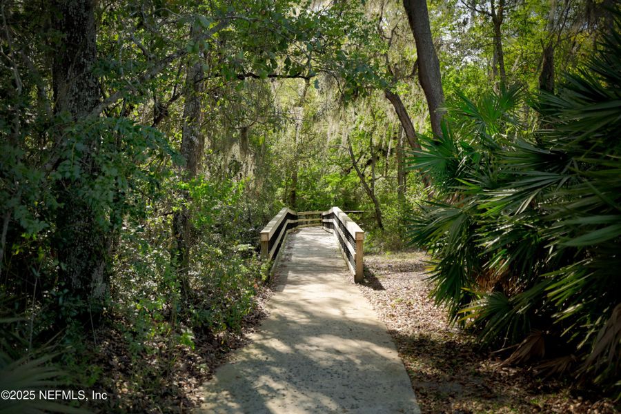 Natural landscape and outdoor views near Trailmark - Phase 6 in St. Augustine (Image 56). Natural landscape and outdoor views near Trailmark - Phase 6 in St. Augustine (Image 56).