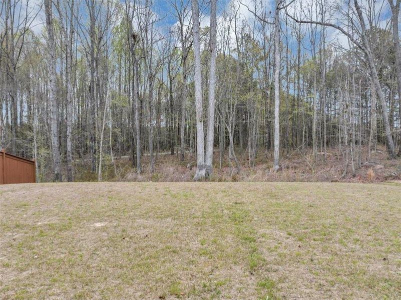 Natural landscape and outdoor views near Independence in Loganville (Image 46).