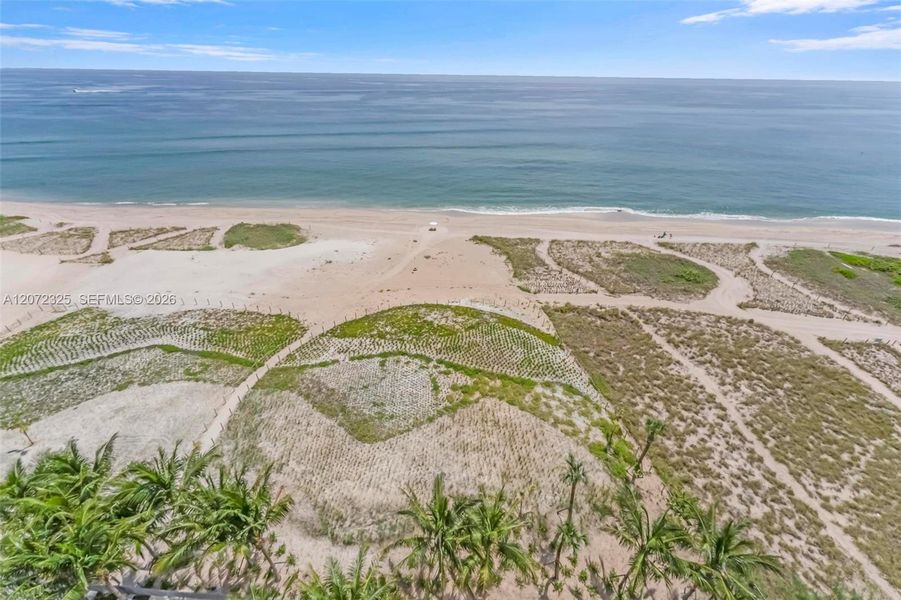 Natural landscape and outdoor views near  in Pompano Beach (Image 58).