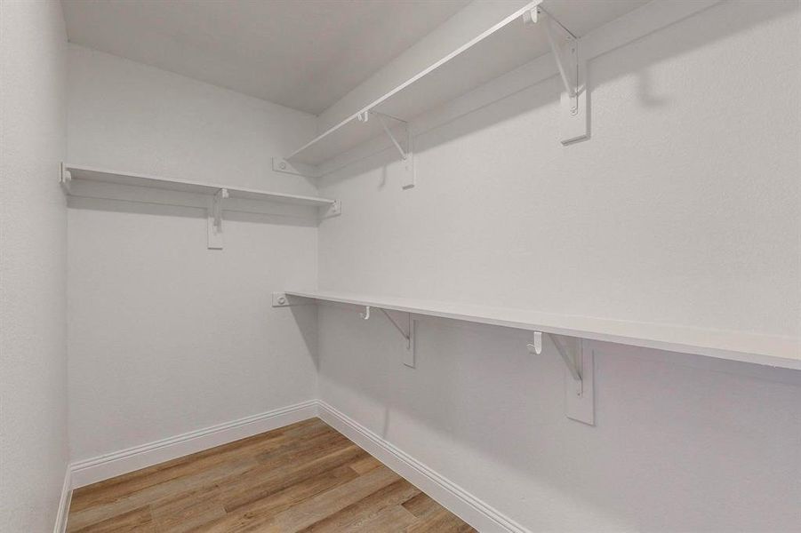 Walk in closet with wood-type flooring