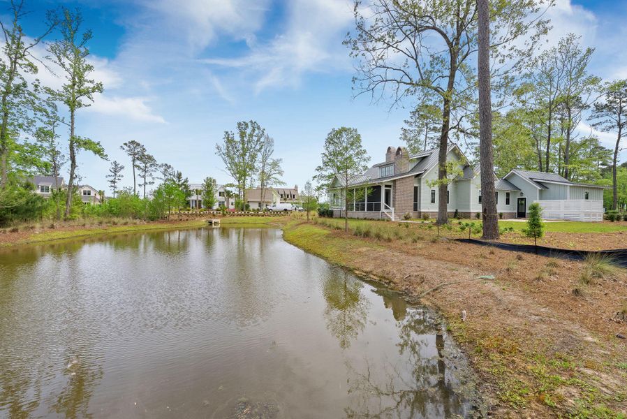 Natural landscape and outdoor views near  in Ravenel (Image 65).