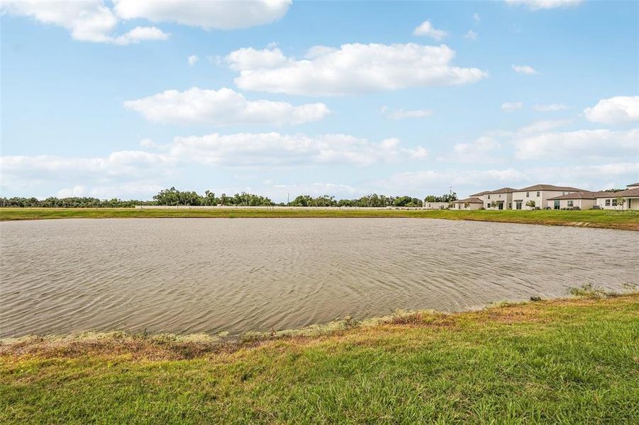 Natural landscape and outdoor views near Southpointe in Palmetto (Image 29). Natural landscape and outdoor views near Southpointe in Palmetto (Image 29).