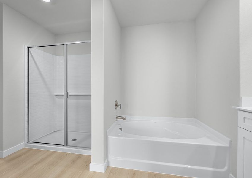Master bath with a soaking tub and separate walk-in shower. Master bath with a soaking tub and separate walk-in shower.