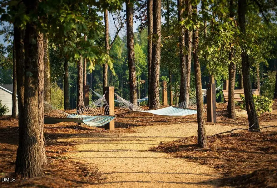 Serenity Hammock