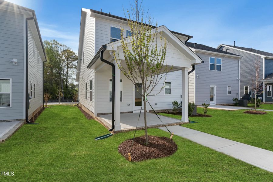 tempImagexzSXZW tempImagexzSXZW