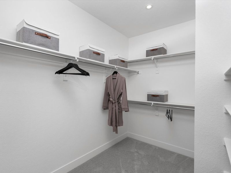 Image 28 representing the Tenley by Lokal Homes in Jackson Creek, Monument, CO.