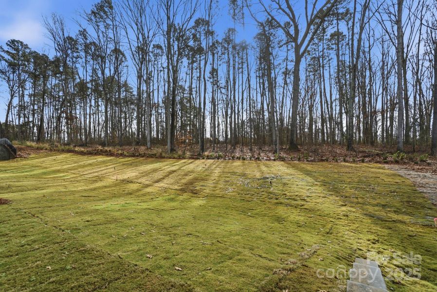 Natural landscape and outdoor views near Villas at Prestwick in Mooresville (Image 41).