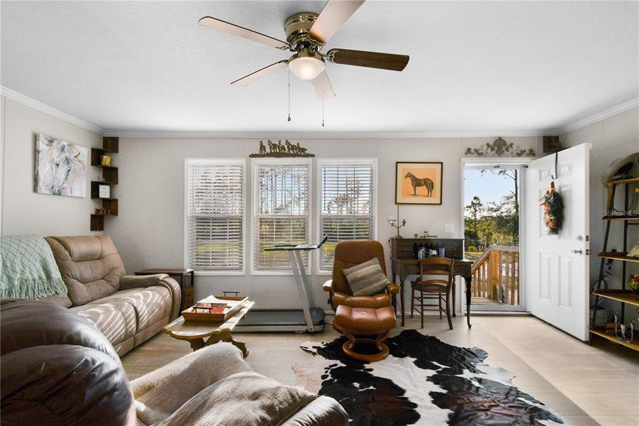 Furnished interior view inside a new home in , Ona (Image 30).