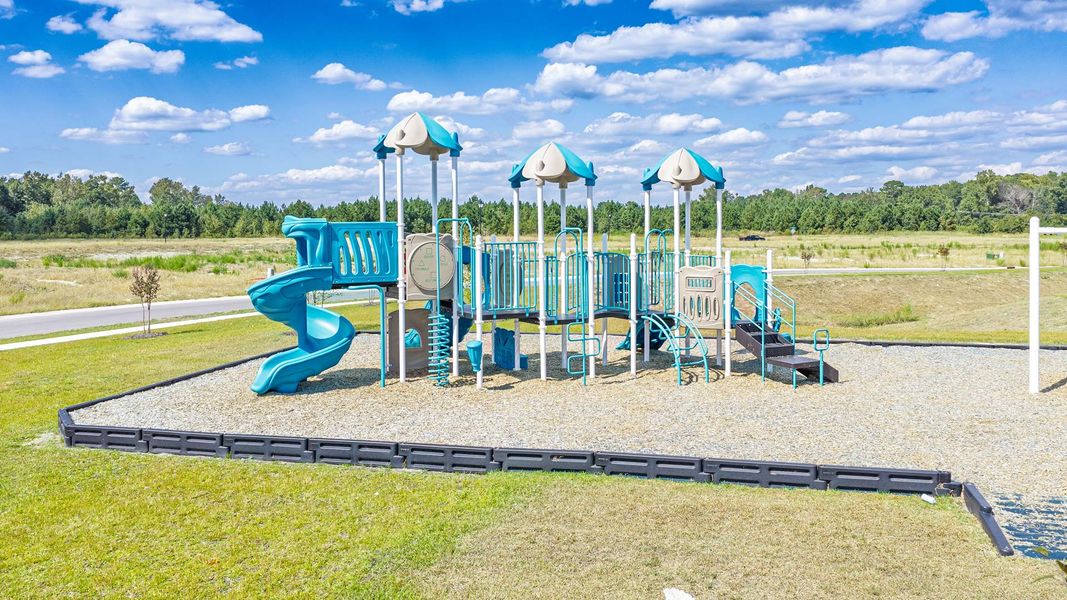 Community amenities in Vineyard Trail, Jacksonville (Image 31).