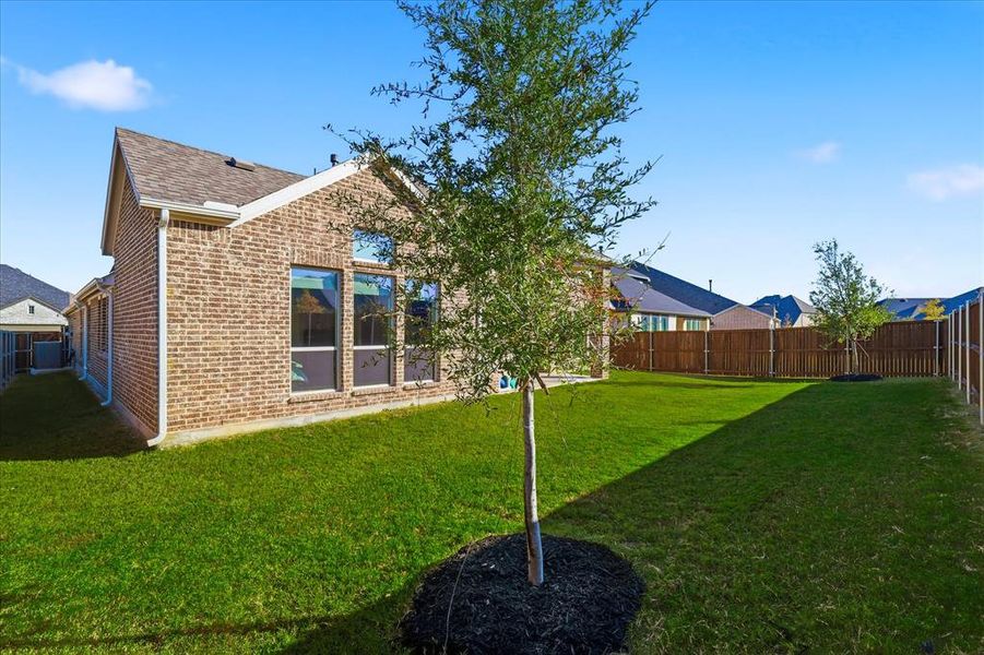 Exterior details and patio area of a home in Watercress 65', Haslet (Image 4). Exterior details and patio area of a home in Watercress 65', Haslet (Image 4).