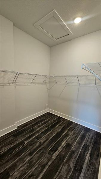 Spacious, unfurnished interior of a new home in , Port Charlotte (Image 21).