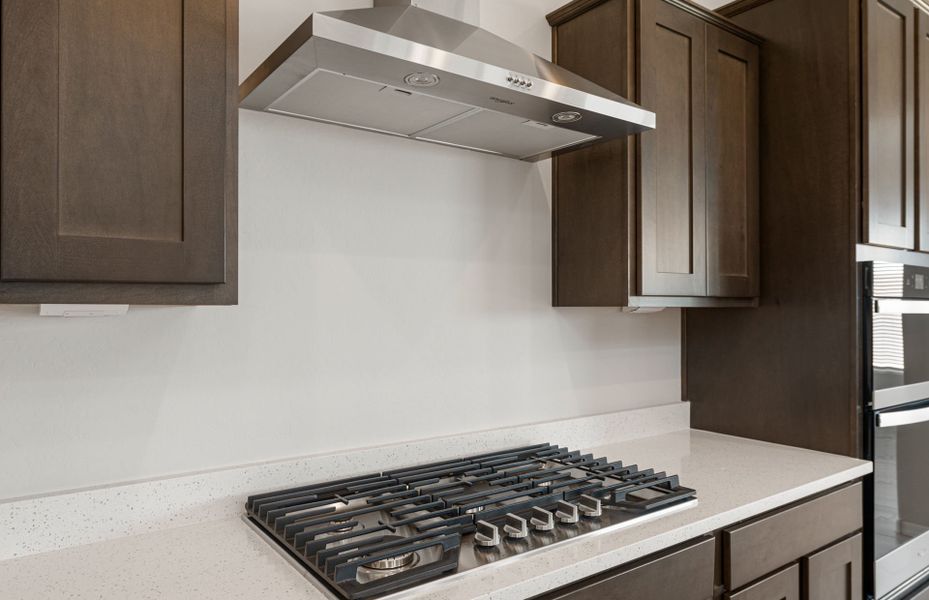 Close-up of interior finishes inside a home in Visara, Surprise (Image 18).
