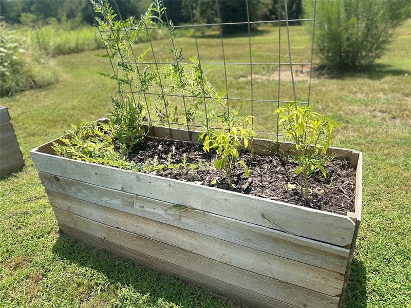 Raised garden