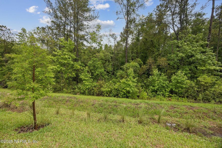 Natural landscape and outdoor views near Concourse Crossing in Fernandina Beach (Image 29). Natural landscape and outdoor views near Concourse Crossing in Fernandina Beach (Image 29).