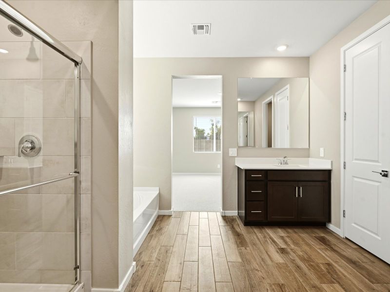 Furnished interior view inside a new home in White Tank Foothills Signature Series, Waddell (Image 6).