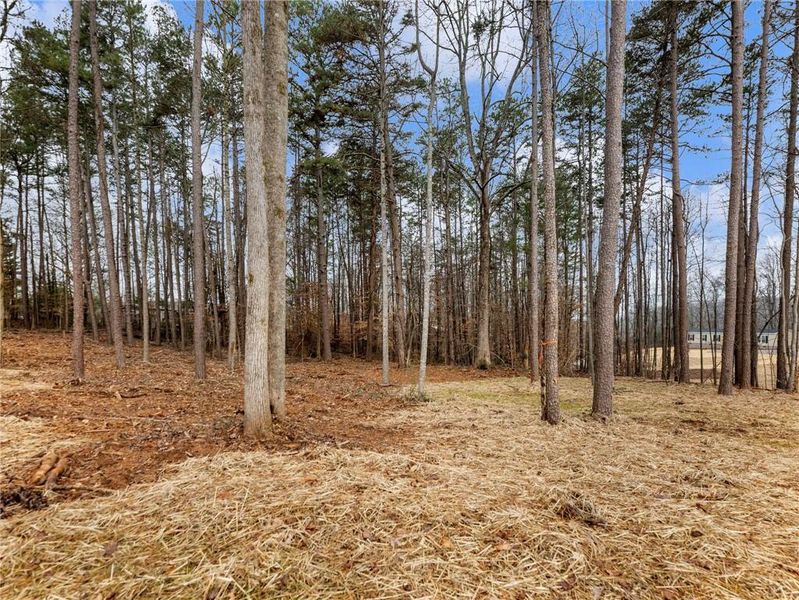 Natural landscape and outdoor views near in Gainesville (Image 38). Natural landscape and outdoor views near in Gainesville (Image 38).