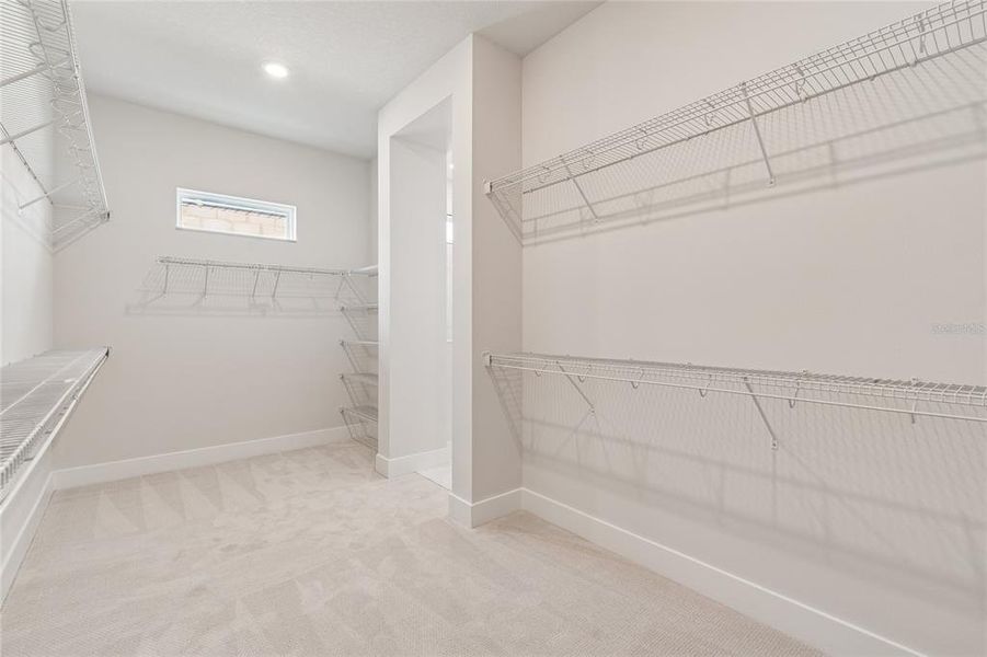 Spacious, unfurnished interior of a new home in Chapel Crossings, Wesley Chapel (Image 16).