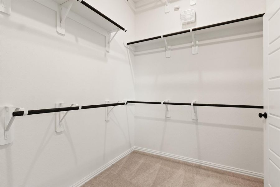 Spacious, unfurnished interior of a new home in Creekhaven, Arcola (Image 30).