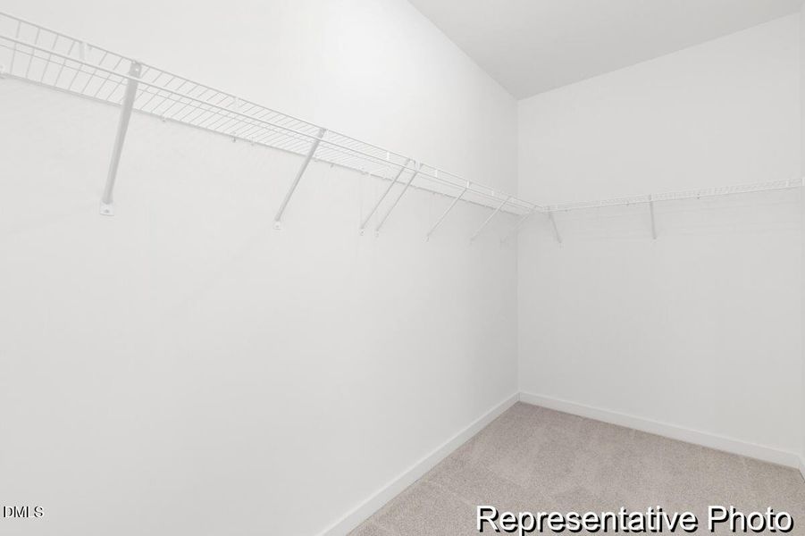 CRF 164 Wayne 2672 EB1 EO (20)-20REP