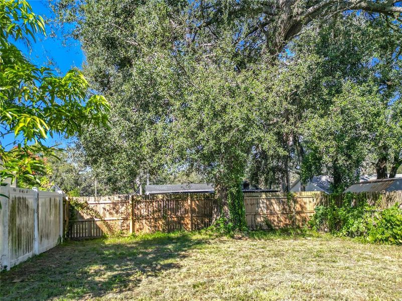 Natural landscape and outdoor views near  in Tampa (Image 28).