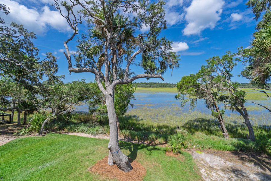 Natural landscape and outdoor views near in Edisto Island (Image 69). Natural landscape and outdoor views near in Edisto Island (Image 69).