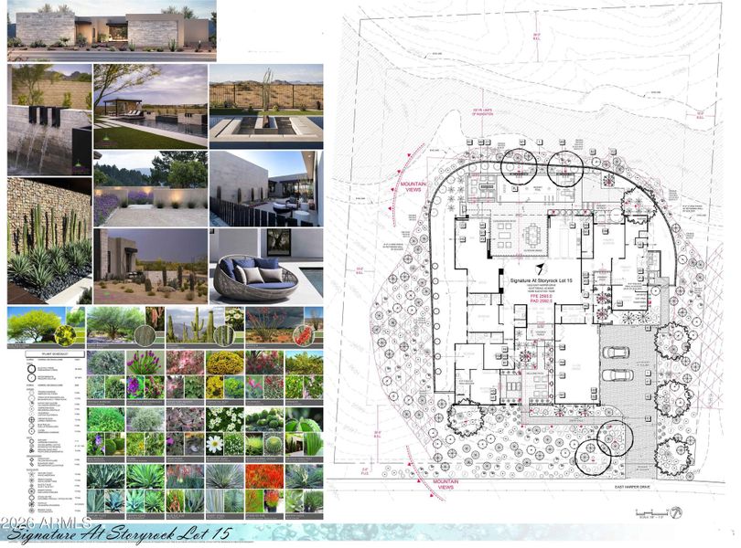 Lot 15 SSR Sketch - Landscaping copy