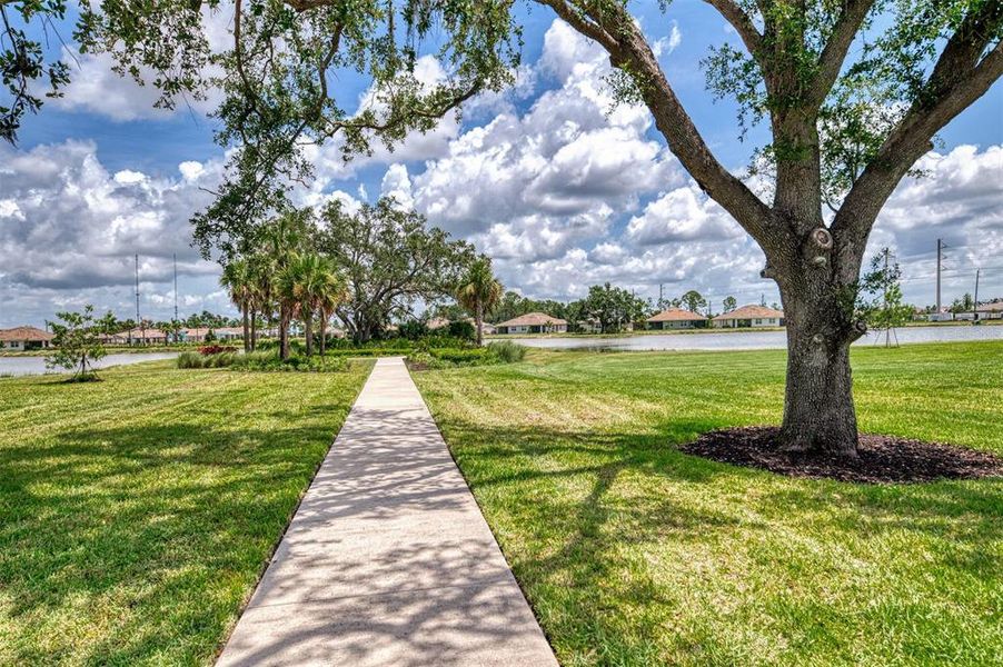 Natural landscape and outdoor views near  in Venice (Image 43).