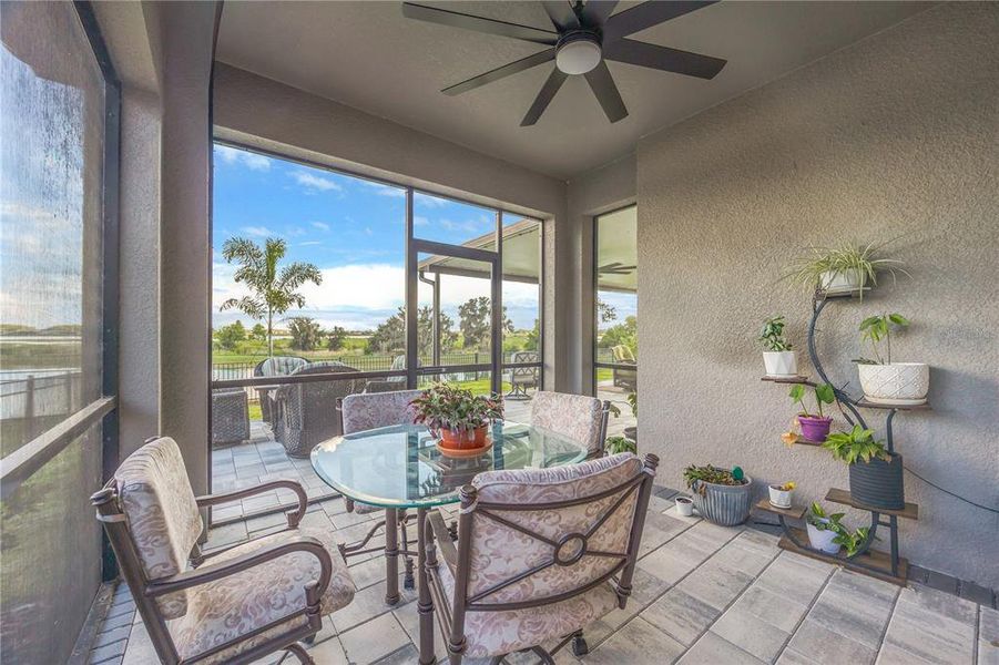 Exterior details and patio area of a home in , Wesley Chapel (Image 29).