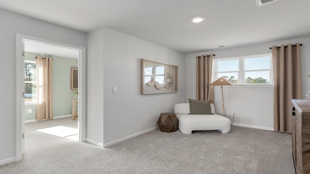 Furnished interior view inside a new home in Stockyard, Statesboro (Image 17).