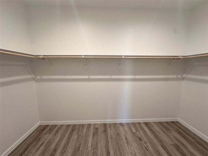 Walk in closet featuring dark hardwood / wood-style flooring