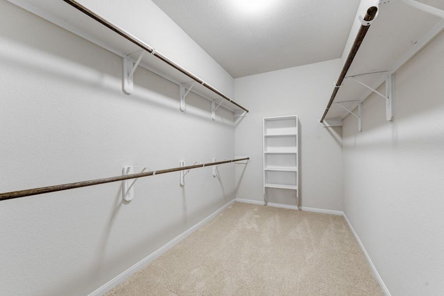 representative photo