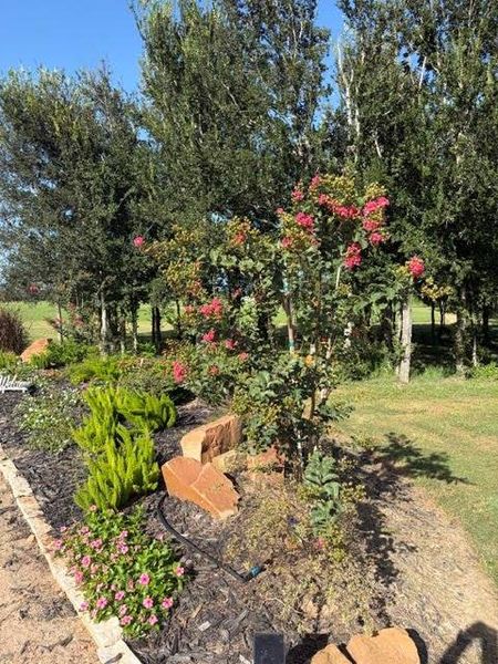 Natural landscape and outdoor views near  in El Campo (Image 46).