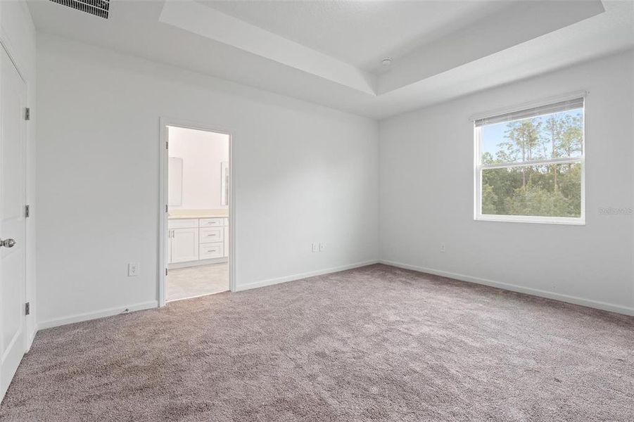 Spacious, unfurnished interior of a new home in Lake Wilson Reserve, Kissimmee (Image 15). Spacious, unfurnished interior of a new home in Lake Wilson Reserve, Kissimmee (Image 15).