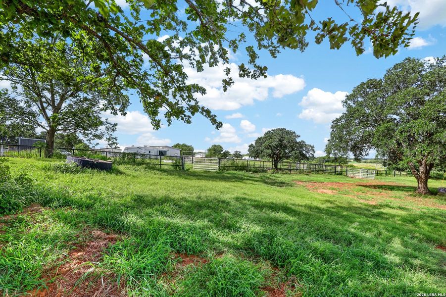 Natural landscape and outdoor views near  in Floresville (Image 27).