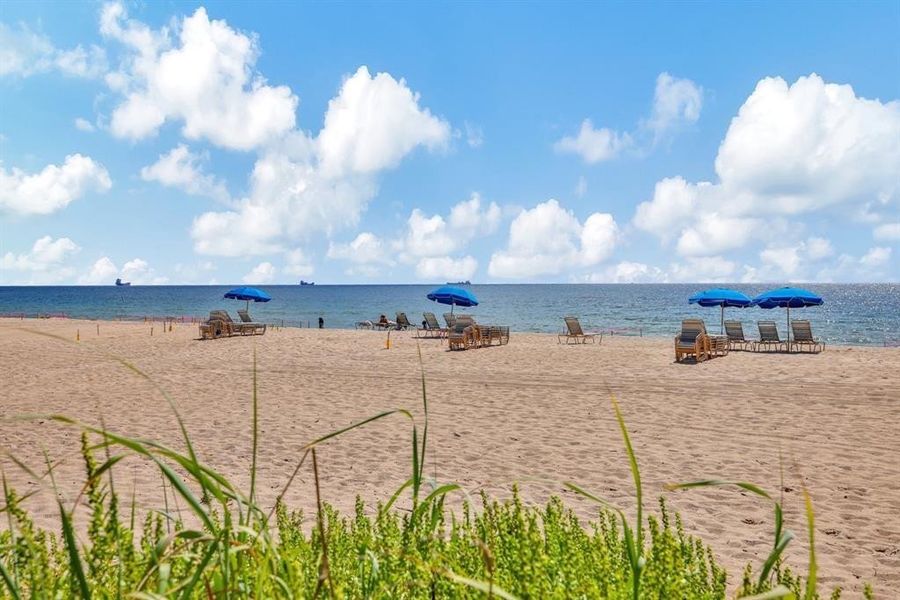Harbor Beach's own beach area