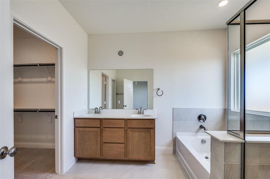 Bathroom featuring plenty of natural light, double vanity, a bath, and a spacious closet
