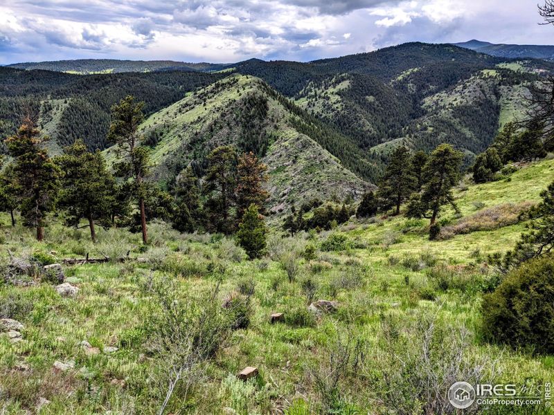 Natural landscape and outdoor views near  in Golden (Image 11).