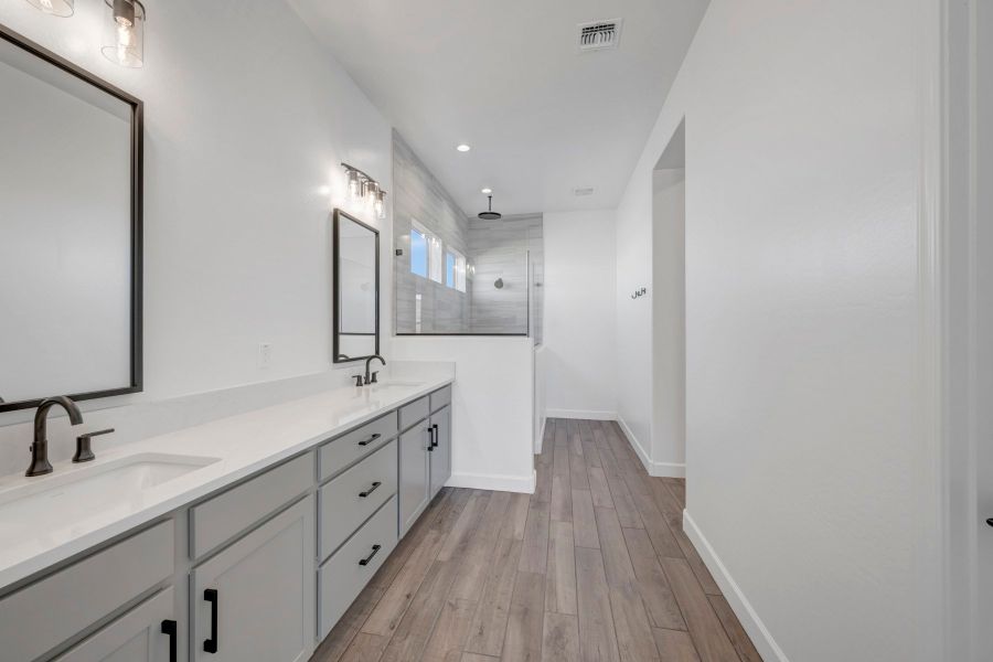 Owner's Bath