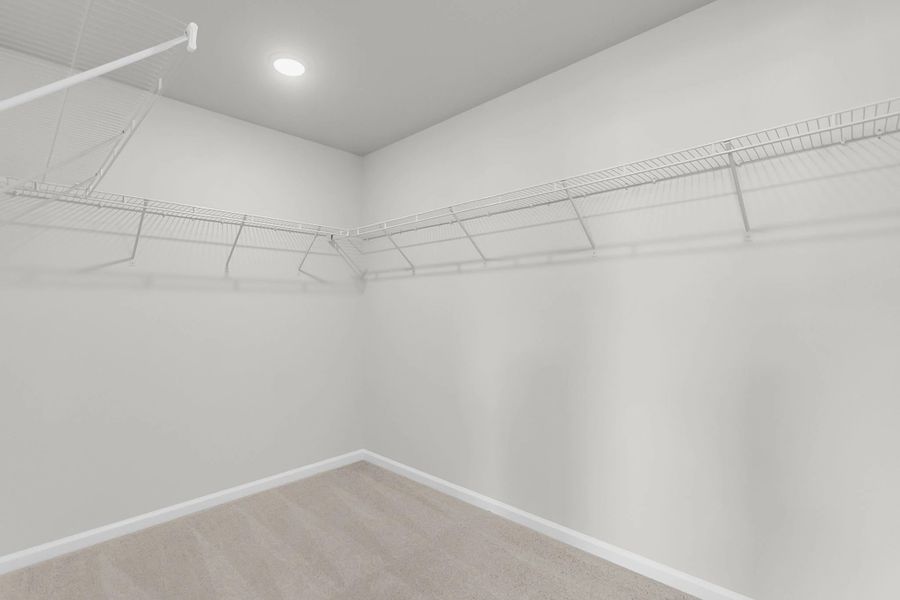 Primary Suite