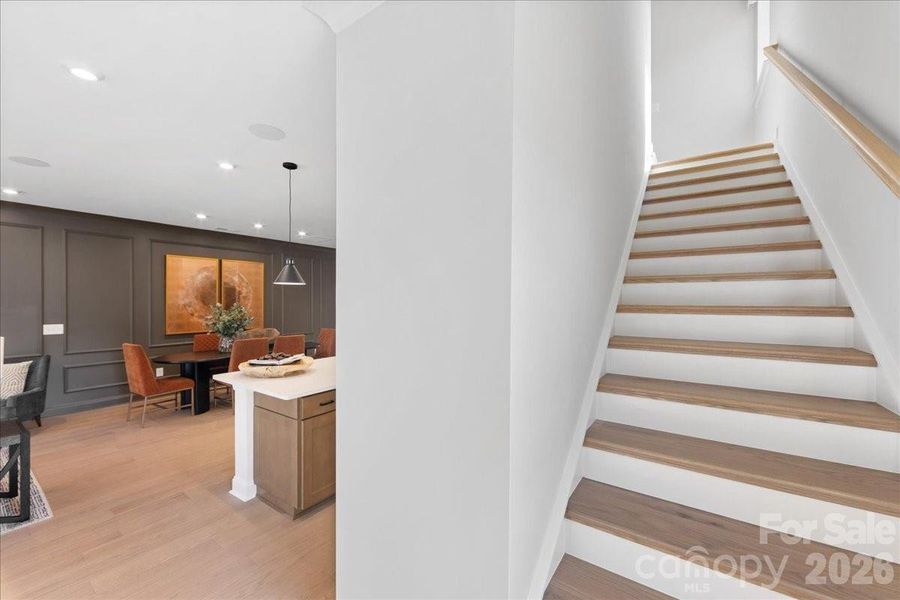 Knight Plan Model Photo Knight Plan Model Photo